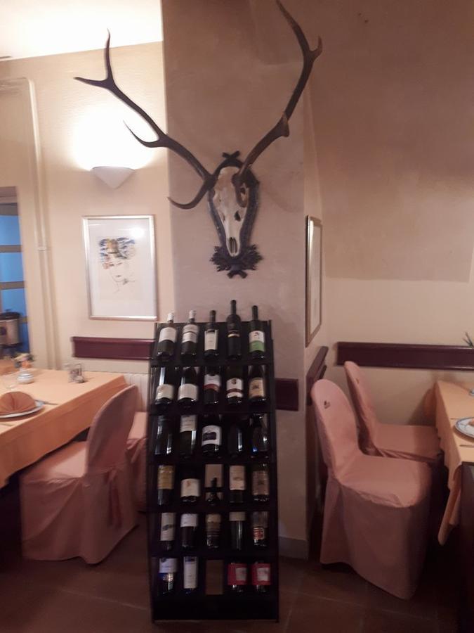 Hotel Mance Brod na Kupi Bagian luar foto